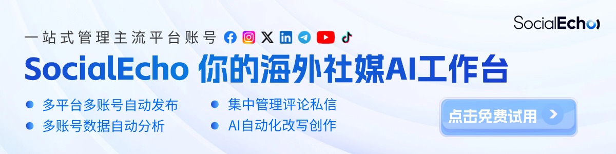 SocialEcho 网站截图预览